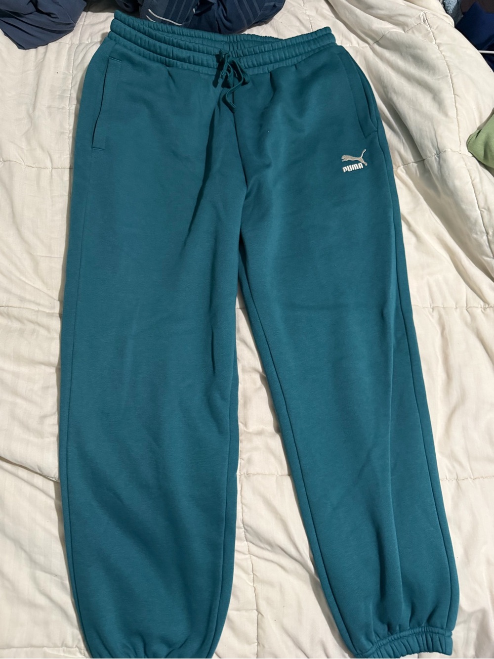 Puma Teal Men's Jogger Sweatpants